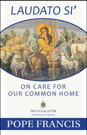 Cover of the book Laudato Si by T.J. Burdick