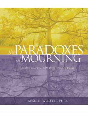 Book cover of The Paradoxes of Mourning