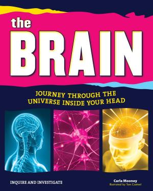 Cover of the book The Brain by Kris Bordessa