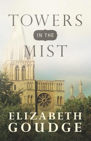 Cover of the book Towers in the Mist by Barbara T. Cerny