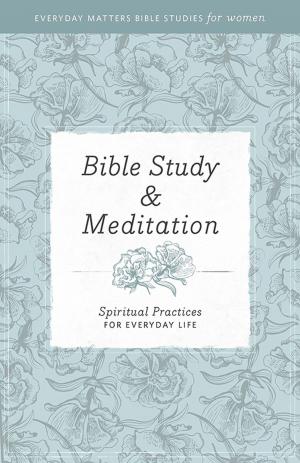 Book cover of Everyday Matters Bible Studies for Women—Bible Study & Meditation