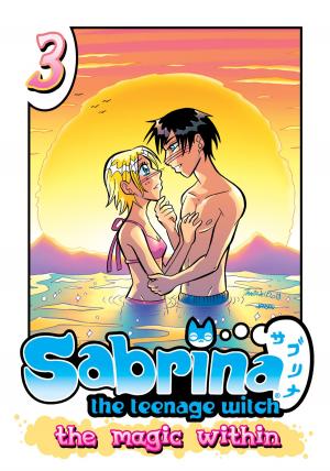 Book cover of Sabrina the Teenage Witch: The Magic Within 3
