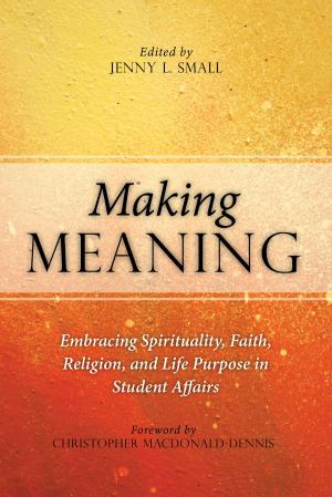 Cover of the book Making Meaning by Chris R. Glass, Rachawan Wongtrirat, Stephanie Buus