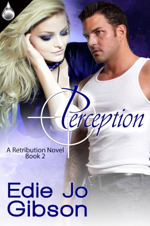 Cover of the book Perception by H.E. McVay