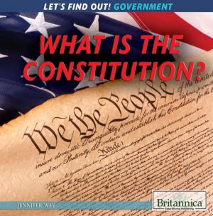 Cover of the book What Is the Constitution? by J.E. Luebering