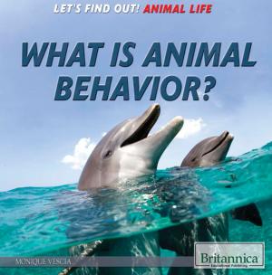 Cover of the book What Is Animal Behavior? by Shalini Saxena