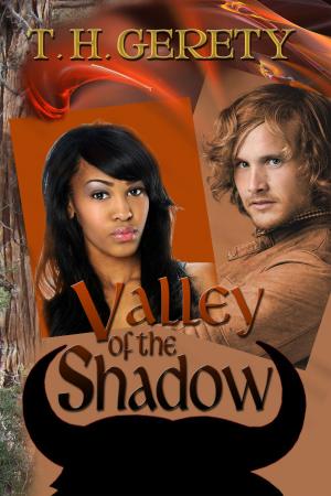 Cover of the book Valley of the Shadow by Terry Lloyd Vinson