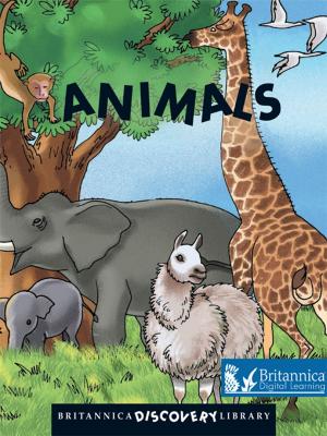 Cover of the book Animals by Anita Ganeri