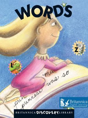 Cover of the book Words by Lynn M. Stone