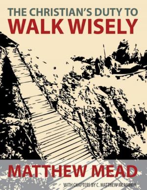 Cover of the book The Christian's Duty to Walk Wisely by C. Matthew McMahon, Jonathan Edwards, Samuel Willard, Jonathan Dickinson, Joshua Moodey, Nathan Stone