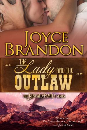 Cover of the book The Lady and the Outlaw by Rosanne Bittner