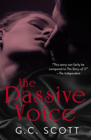 Cover of the book The Passive Voice by C.L. Moore