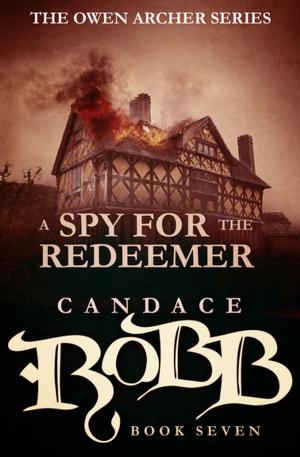 Cover of the book A Spy for the Redeemer by Lee Harrington