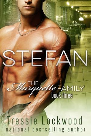 Cover of the book Stefan by Ryan Bradley