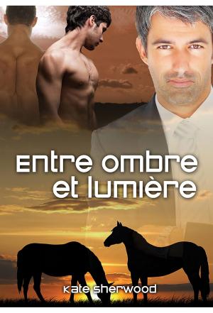 Cover of the book Entre ombre et lumière by Lina Langley