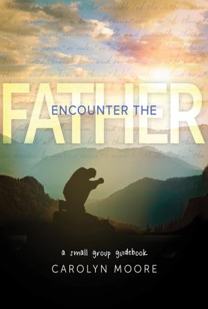 Cover of the book Encounter the Father by Wisdom Mupudzi