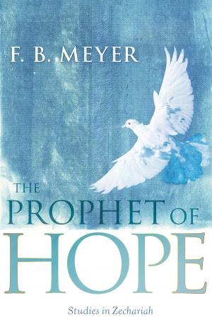 Cover of the book The Prophet of Hope by Jennifer AlLee, Lisa Karon Richardson