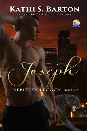 Cover of the book Joseph by Kathi S. Barton