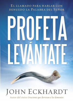Cover of the book Profeta levántate by John Hagee