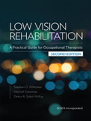 Cover of the book Low Vision Rehabilitation by Robert Lowe, Francis Farraye