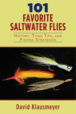 Cover of the book 101 Favorite Saltwater Flies by Lisa Kerber