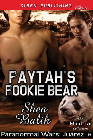 Cover of the book Paytah's Pookie Bear by Morgan Ashbury