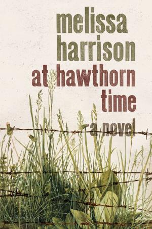 Cover of the book At Hawthorn Time: Costa by Val Baynton