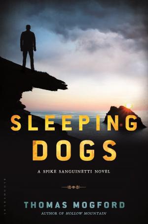 Cover of the book Sleeping Dogs by Programme Leader Seth Giddings