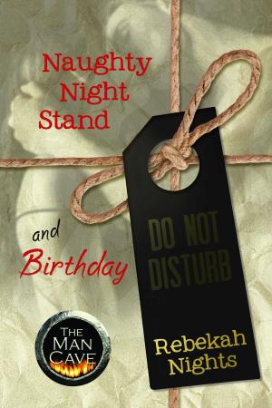 Cover of the book Naughty Night Stand & Birthday - 2 Short Stories by Susan Rogers