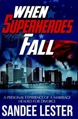 bigCover of the book When Superheroes Fall by 