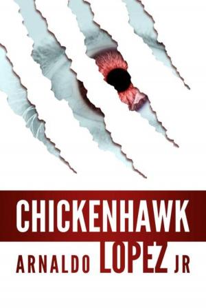 Cover of the book Chickenhawk by Tamara Hecht