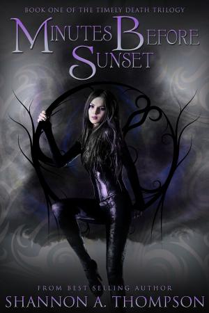 Cover of the book Minutes Before Sunset by Amanda Strong