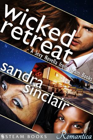 Cover of the book Wicked Retreat: A Sexy Novella from Steam Books by Melody Lewis, Steam Books