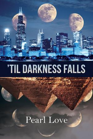 Cover of the book 'Til Darkness Falls by J.R. Loveless