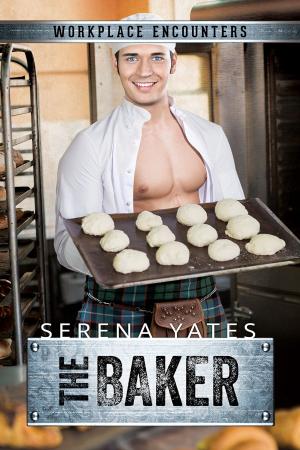 Cover of the book The Baker by Leora Stark
