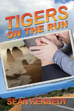 Cover of the book Tigers on the Run by Aidan Wayne