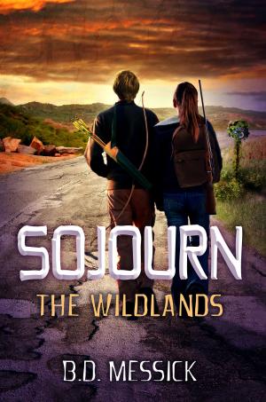 Cover of the book Sojourn: The Wildlands by Christopher Carrolli