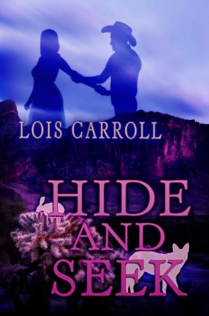 Cover of the book Hide and Seek by Nancy Pirri
