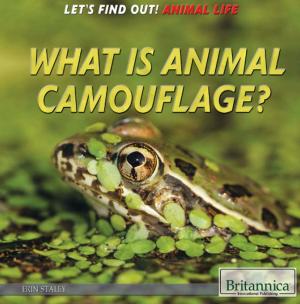 bigCover of the book What Is Animal Camouflage? by 