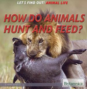 Cover of the book How Do Animals Hunt and Feed? by Heather Campbell