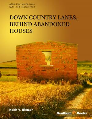 Cover of the book Down Country Lanes, Behind Abandoned Houses by Martin  Masuelli