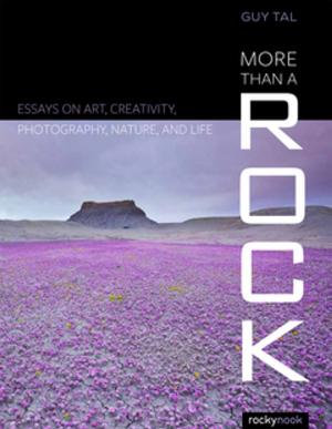 Cover of the book More Than a Rock by Petra Vogt