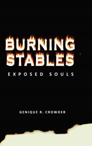 Cover of the book Burning Stables by John Hackworth