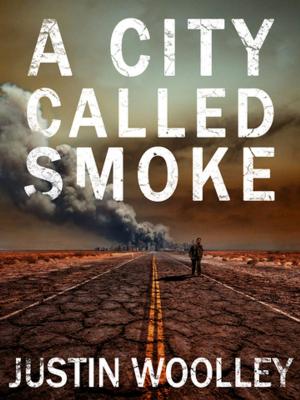 Book cover of A City Called Smoke: The Territory 2