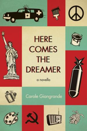Cover of the book Here Comes the Dreamer by Tricia Dower