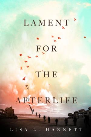 Book cover of Lament for the Afterlife
