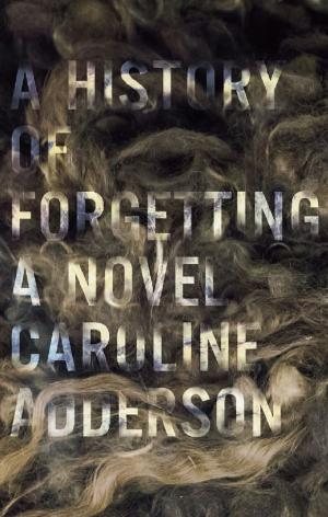 Cover of the book A History of Forgetting by Charles Foran