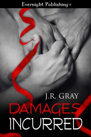 Cover of the book Damages Incurred by Stacey Espino