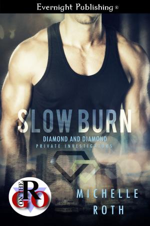 Cover of the book Slow Burn by Lace Daltyn