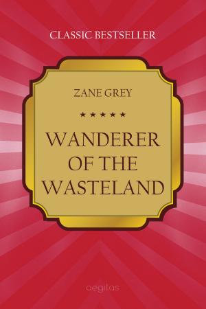 Book cover of Wanderer of the Wasteland